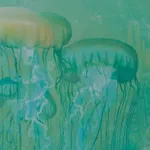 Hafenhaus Unterwasserwelt Διαμέρισμα Βάρεν